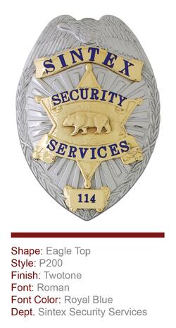 Sintex Security Services